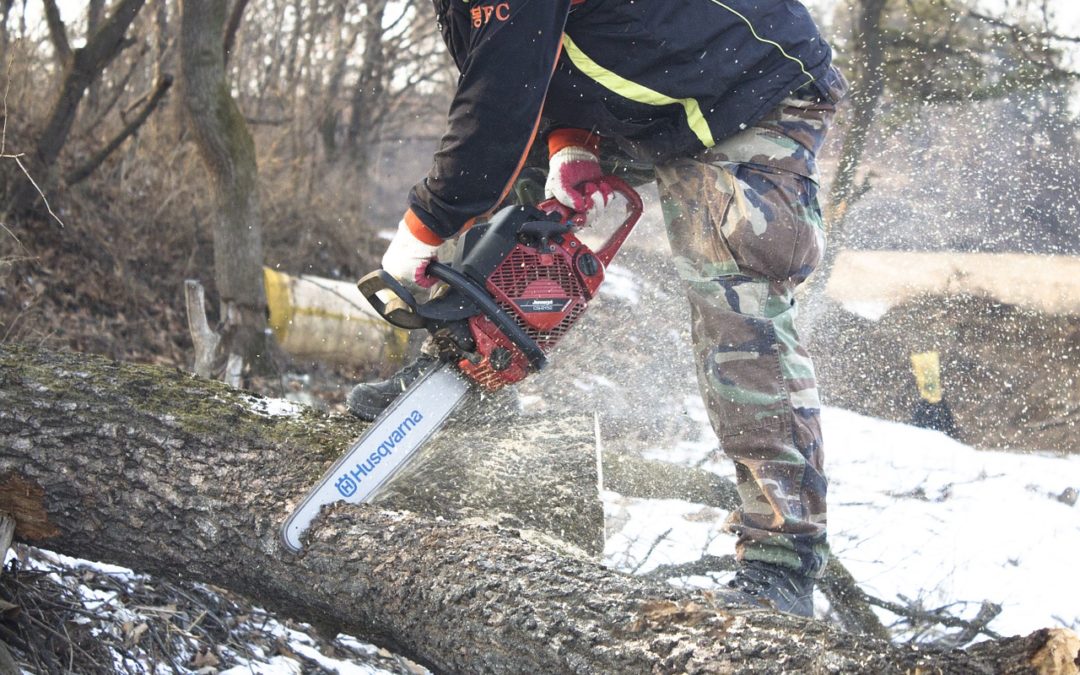 Fundamentals Of A Tree Service